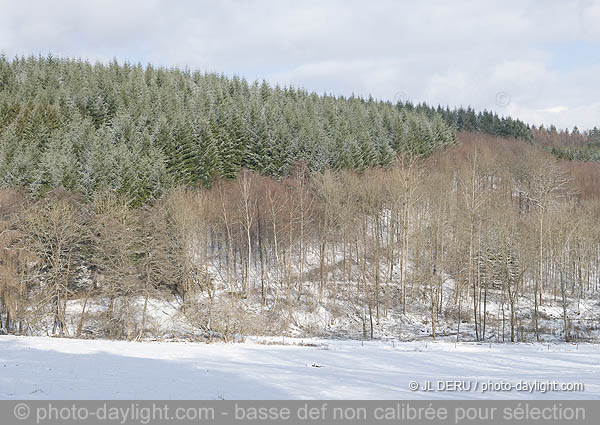 paysage hivernal  / winter landscape